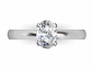 Birds Eye View engagement rings SPF10